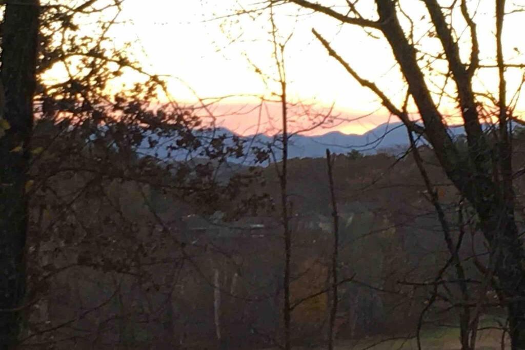 Serenity Views Comfort - Close To City & Parkway! Weaverville المظهر الخارجي الصورة