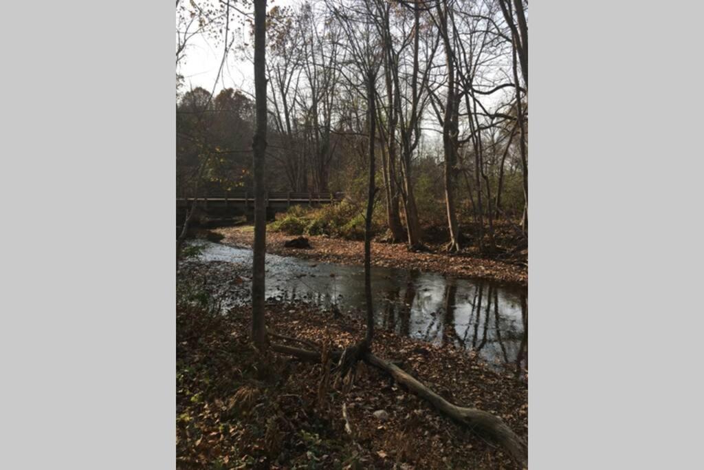 Serenity Views Comfort - Close To City & Parkway! Weaverville المظهر الخارجي الصورة