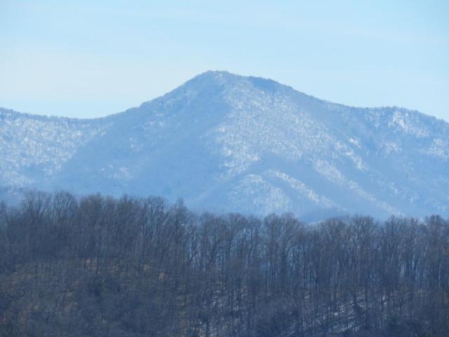 Serenity Views Comfort - Close To City & Parkway! Weaverville المظهر الخارجي الصورة