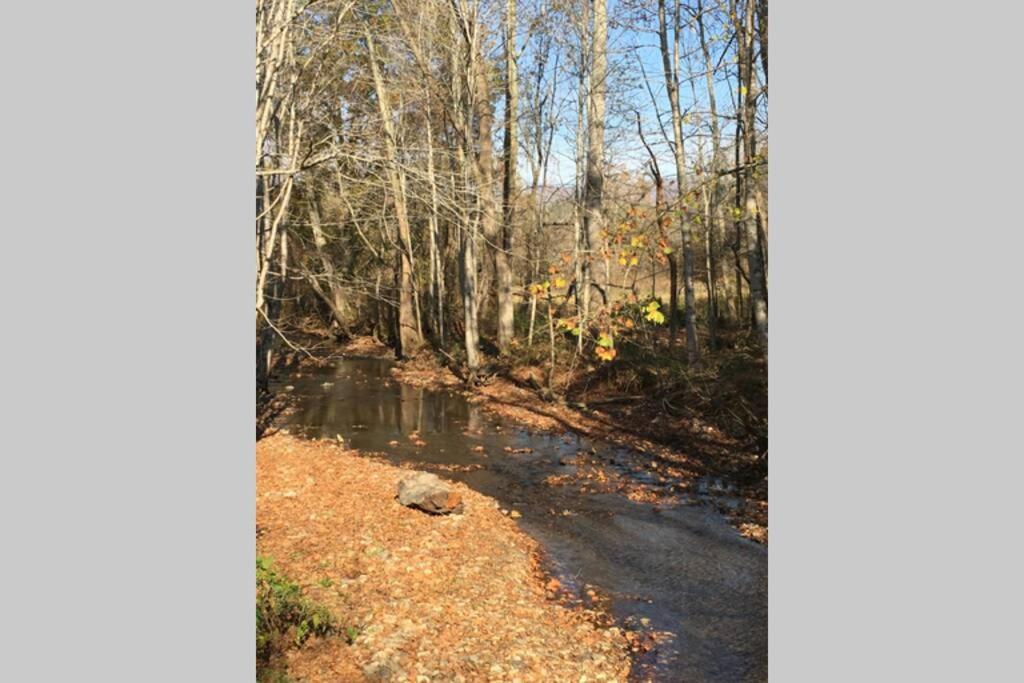 Serenity Views Comfort - Close To City & Parkway! Weaverville المظهر الخارجي الصورة